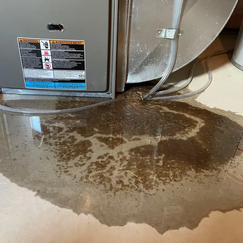 Appliance Leak Cleanup in Dixon, MO