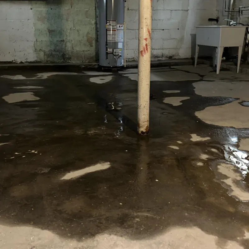 Emergency Water Extraction And Removal in Dixon, MO